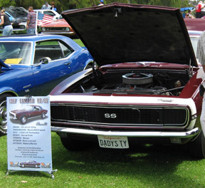 1967 camaro RS SS showboard