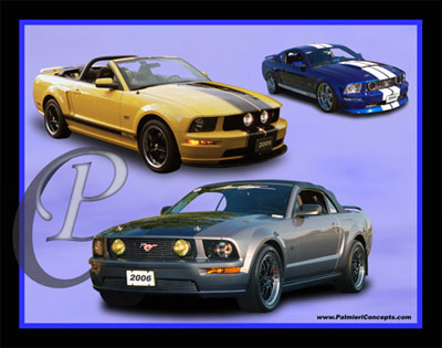 P108-2005-2006-Mustangs-collage