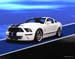 P242-STRIPE-2007-Shelby-GT500-White-Blue